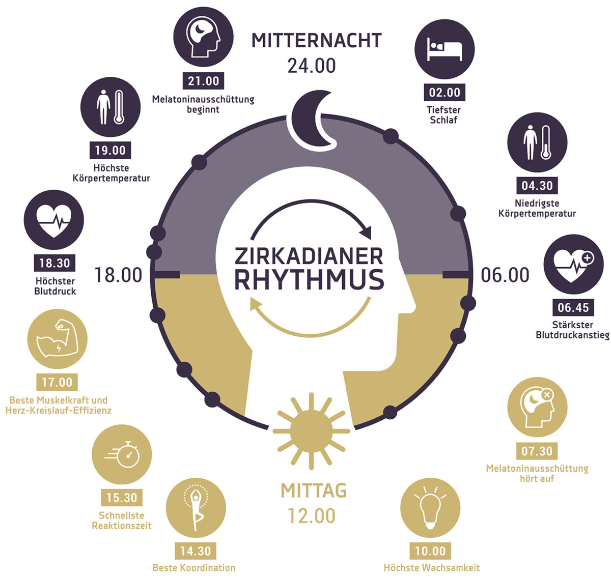 Morgenlicht fällt durch ein Fenster und unterstützt den zirkadianen Rhythmus